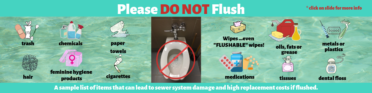 Please Do Not Flush