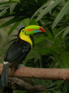 Hello World Featured Image