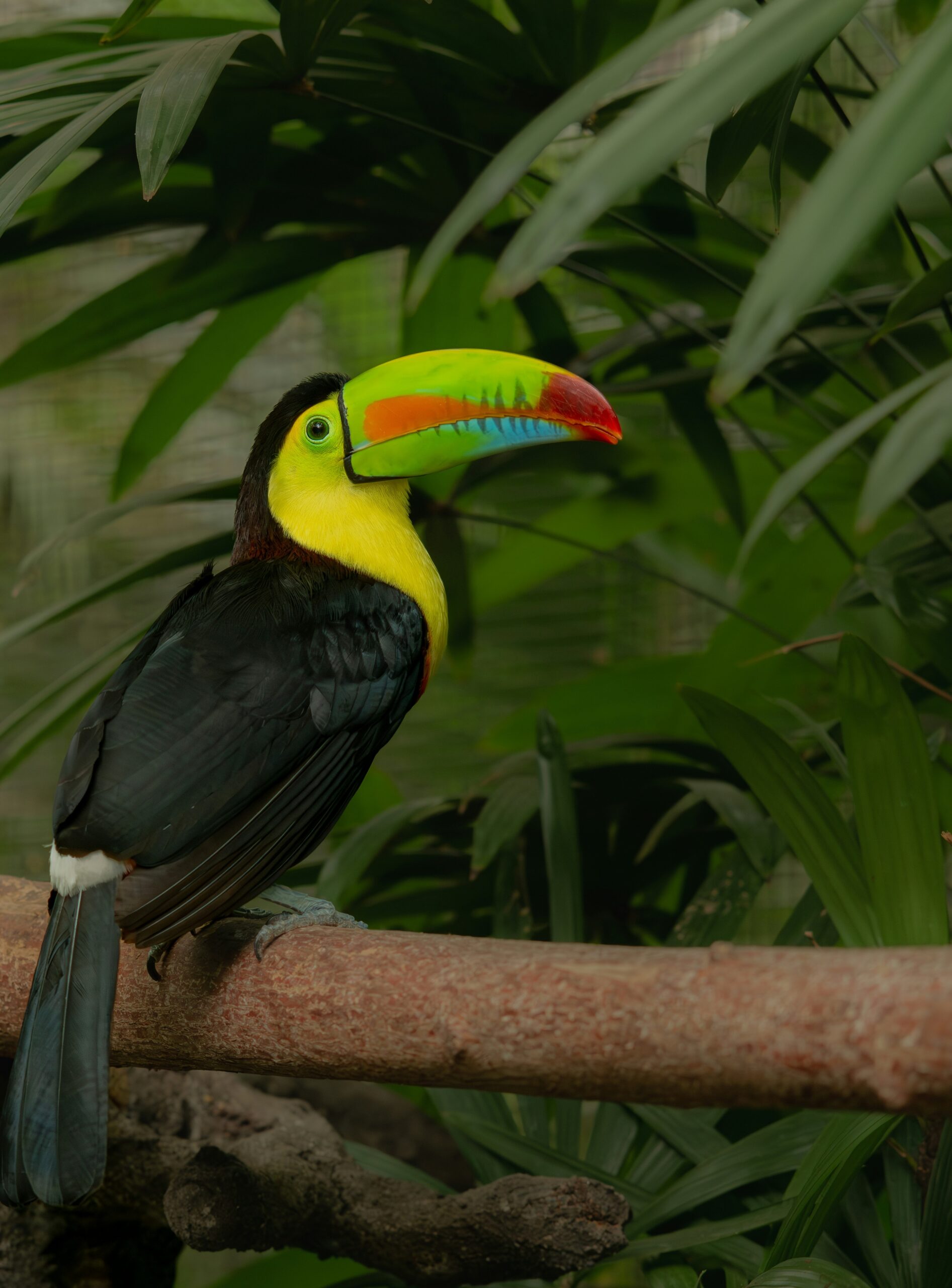 Hello World Featured Image