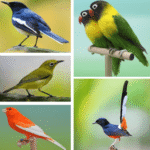 Panduan Lengkap Jenis Burung Kicau Gacor Terpopuler